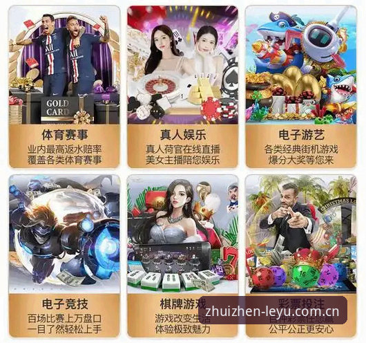 乐鱼官网备用网址 vs 中国官网直连：2026入口选择，哪种更符合你的使用习惯？