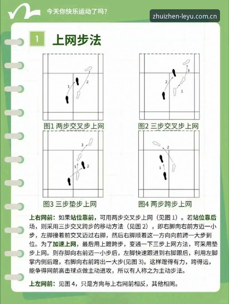 乐鱼体育平台完整指南：从赛事前瞻到备用网址的手把手教程
